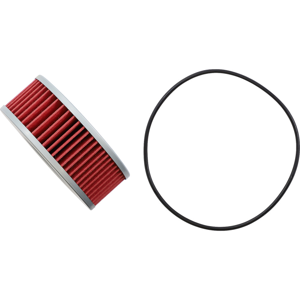 Oil Filter — Cartridge